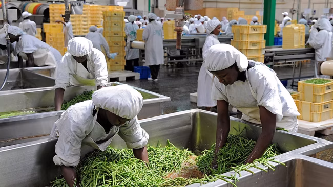 Agroprocessing