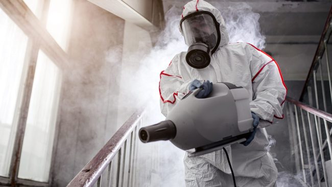 Pest Control Solutions