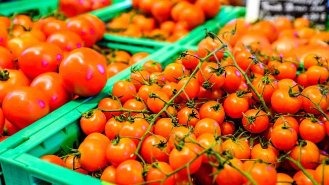 Post-Harvest Solutions
